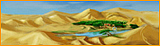 Oasis