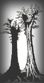 Arboles